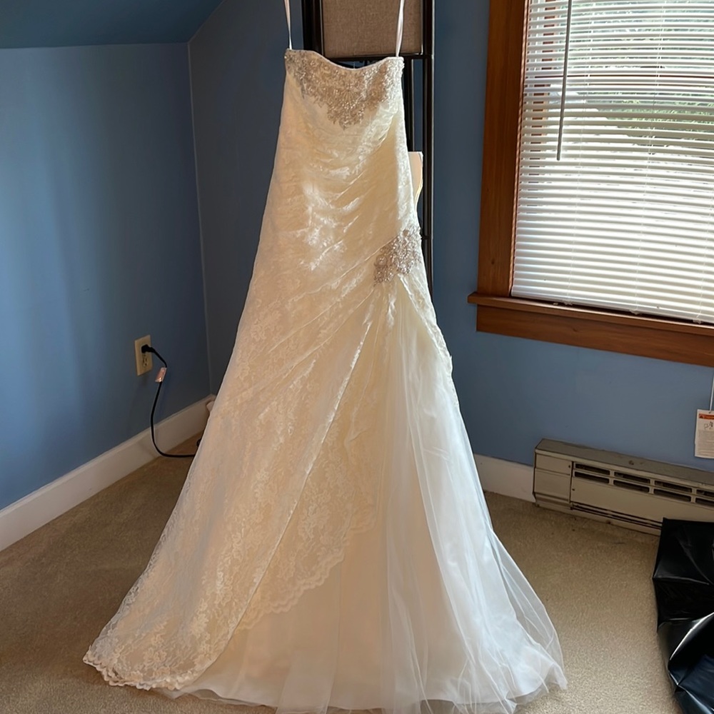 David’s Bridal Gown with Petticoat Slip